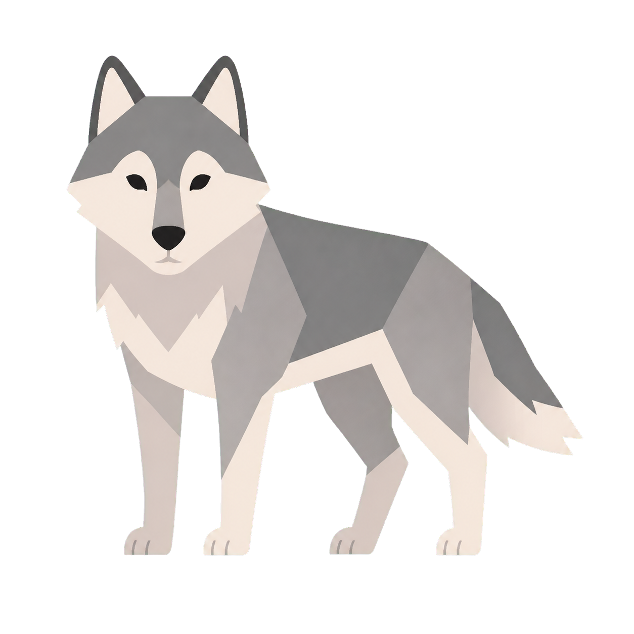 狼